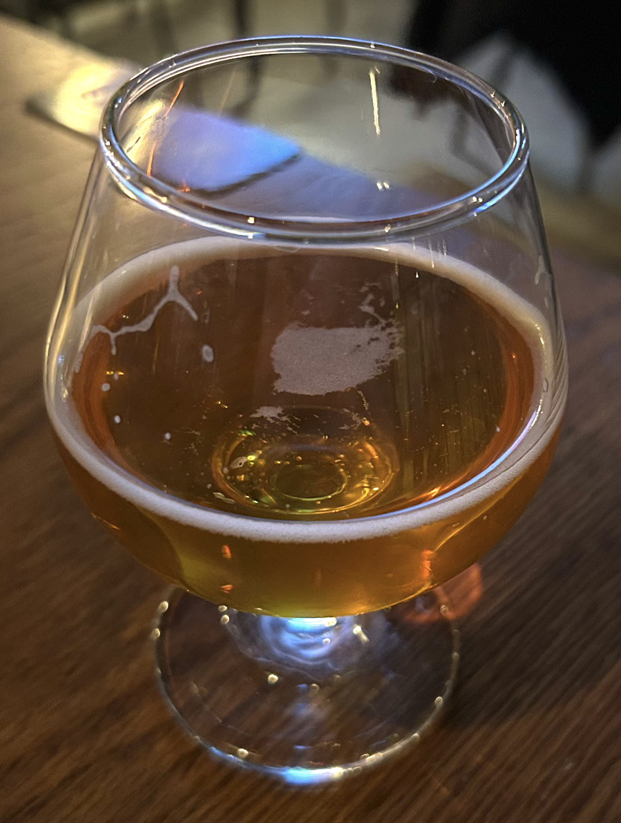Flying Fist IPA (飞拳)