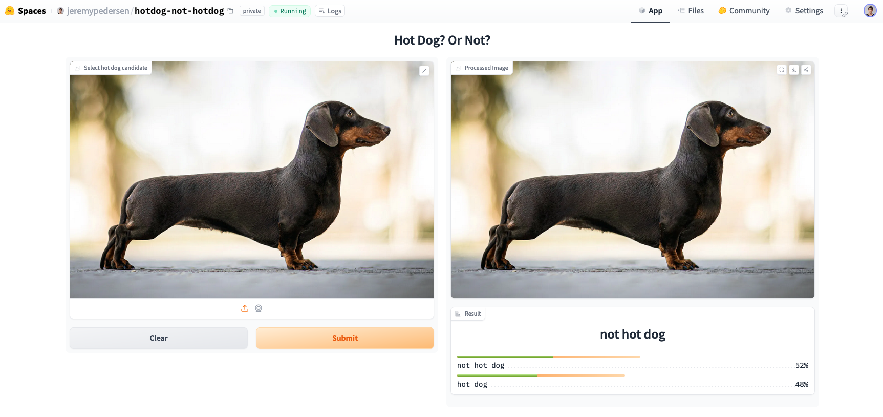 A Dachshund