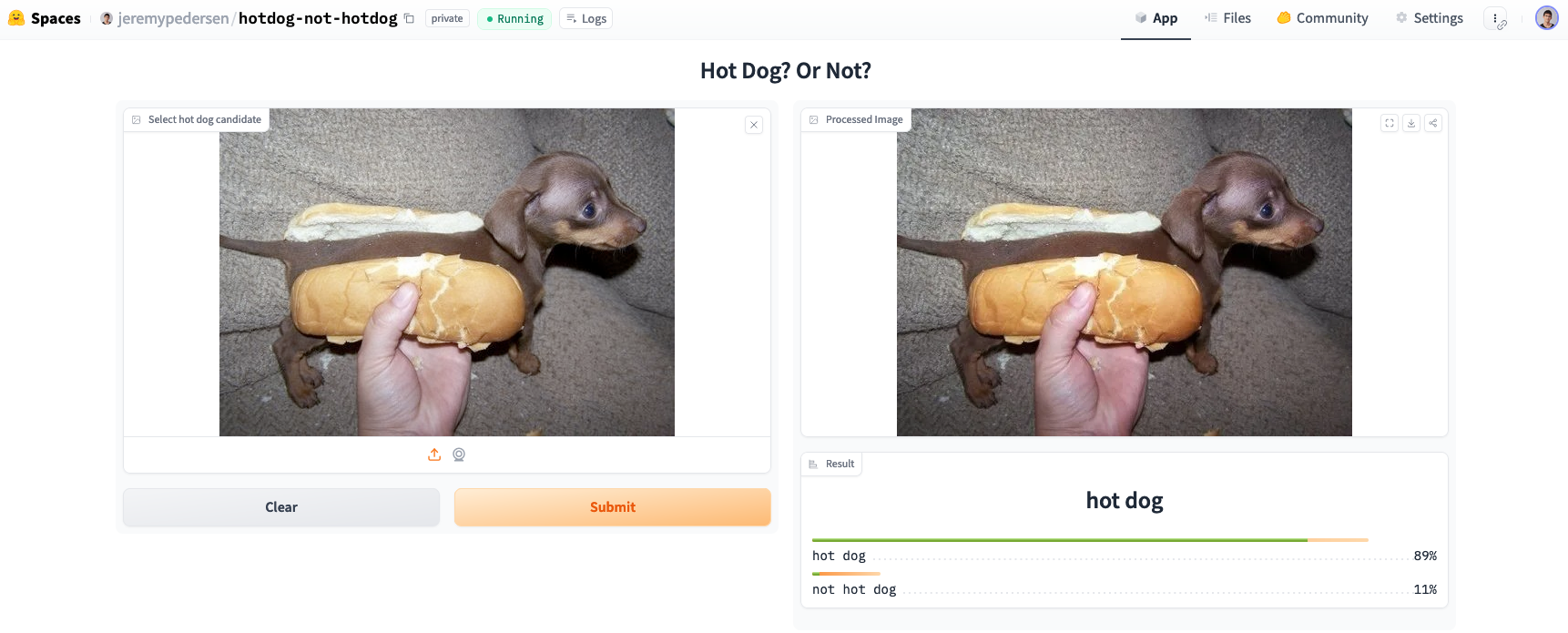 A really “hot” dog