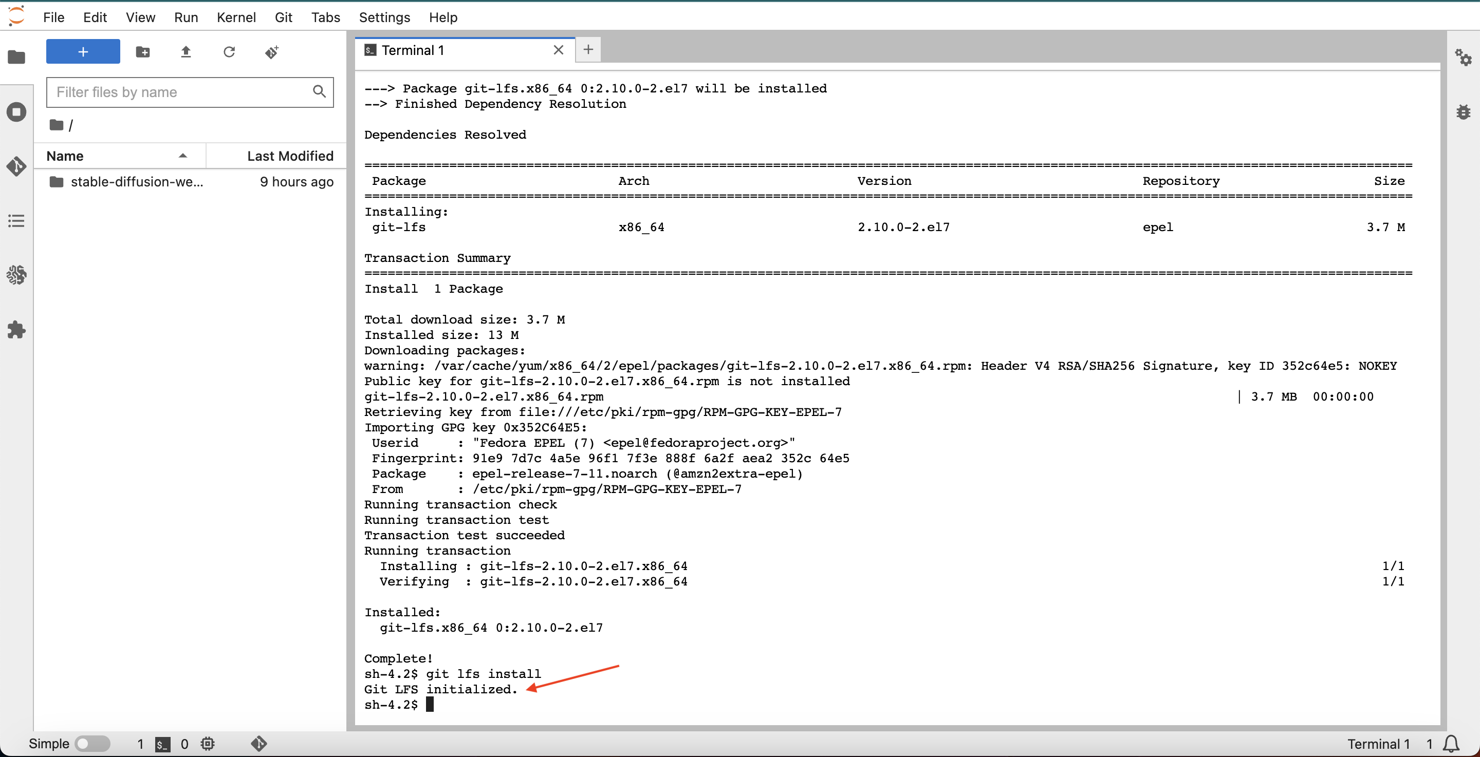 Git LFS installed