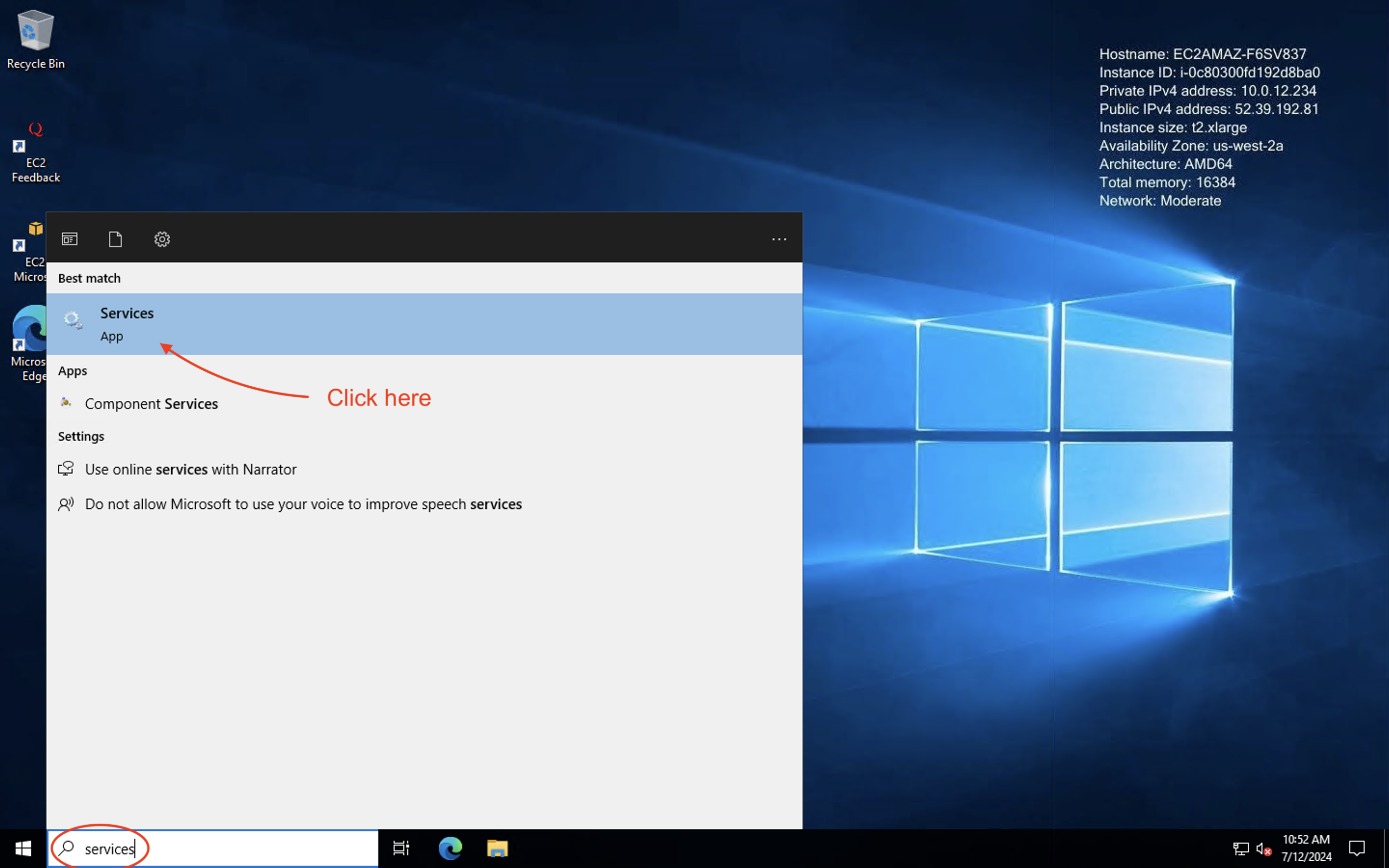 Services pane